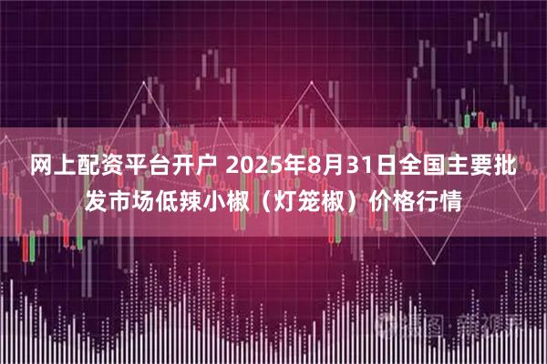 网上配资平台开户 2025年8月31日全国主要批发市场低辣小椒（灯笼椒）价格行情