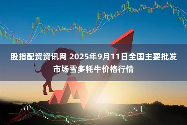 股指配资资讯网 2025年9月11日全国主要批发市场雪多牦牛价格行情