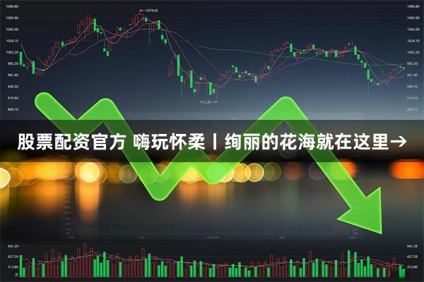股票配资官方 嗨玩怀柔丨绚丽的花海就在这里→