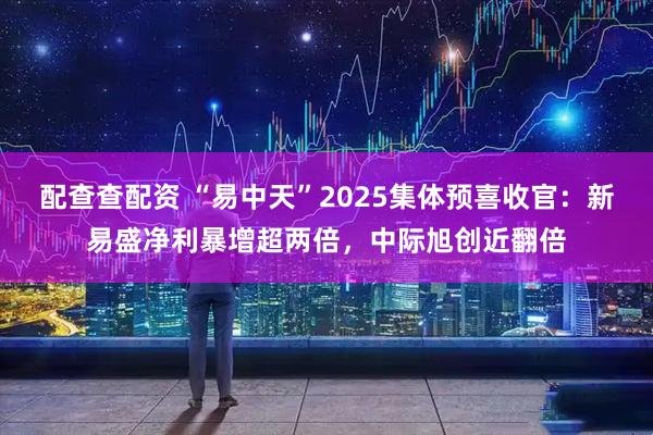 配查查配资 “易中天”2025集体预喜收官：新易盛净利暴增超两倍，中际旭创近翻倍